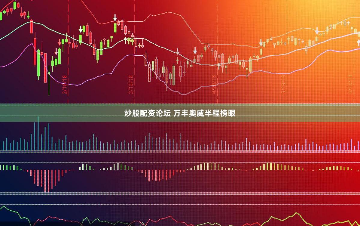 炒股配资论坛 万丰奥威半程榜眼