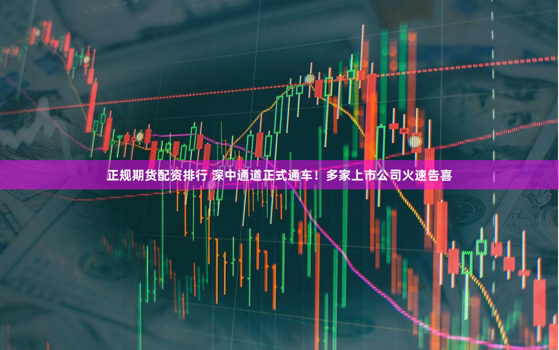 正规期货配资排行 深中通道正式通车！多家上市公司火速告喜